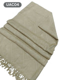 Pashmina Shawl Elegant And Beautiful Self Jacquard Shawl With Excellent Quality Pashmina