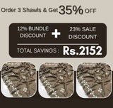 Pashmina Shawl Elegant And Beautiful Hand Made Sindhi Embroidery On Borders Four Sided Hand Made Lace Shawl